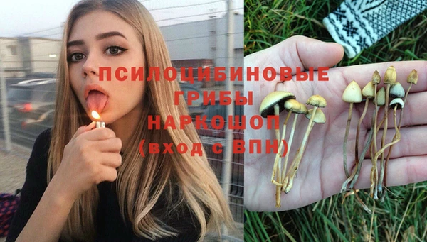 индика Краснотурьинск