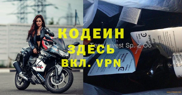 индика Краснотурьинск