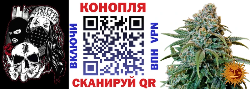 Каннабис индика Брюховецкая